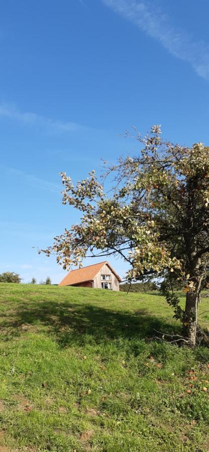 בליזן Boerderaaj Vakantiewoning מראה חיצוני תמונה
